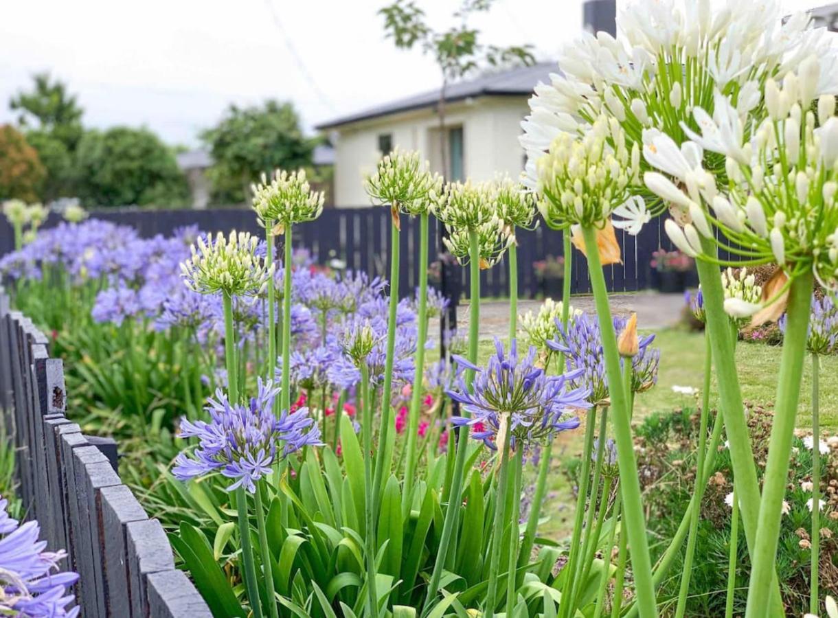 Central Garden Guest House Motueka Buitenkant foto