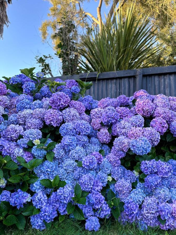 Central Garden Guest House Motueka Buitenkant foto